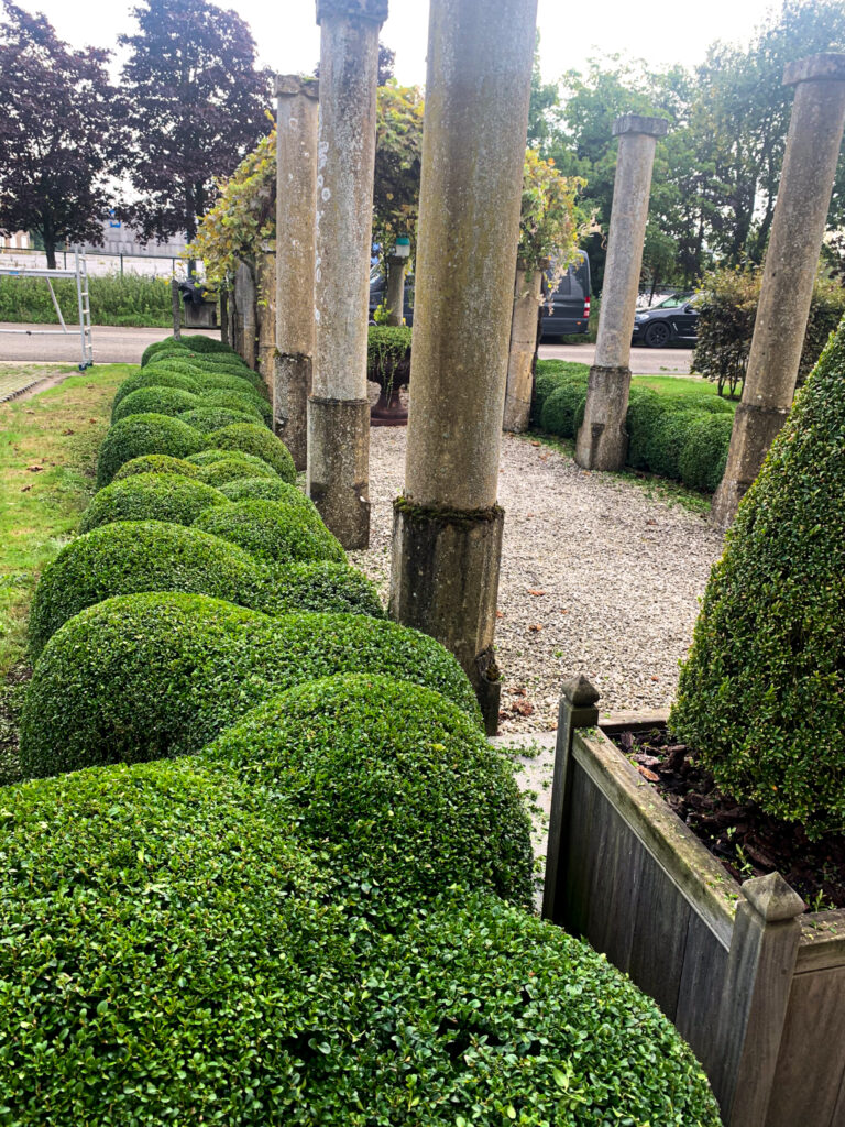 tuinonderhoud